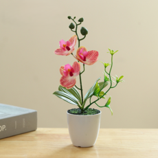 소울리치 조화 러블리한 호접란 세트, 스타일7, 1세트