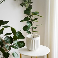 Jardind Eden 圓葉拋光室內人造樹 60cm, 混色, 1個