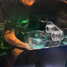 Lemongcreef 爬蟲類 冠壁虎 吸盤式 附著式 飼料水碗 強力磁鐵 1孔 吸附, 1個, 單一顏色