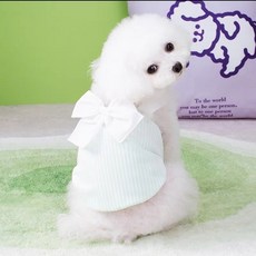 PEONIST Coco Studio 狗狗 Coco 大蝴蝶結氣球背心, 薄荷綠, 1個