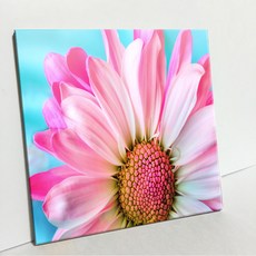 UDP 磁磚畫框 A型 3140492, 單一顏色