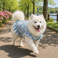 PASTEL PET 狗狗荷葉邊圖案連身裙, 藍色, 1個