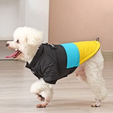 PASTEL PET 寵物三色鋪棉外套, 1個, 黃藍色