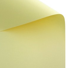 Inp 色紙 檸檬 T23 135g, 20個