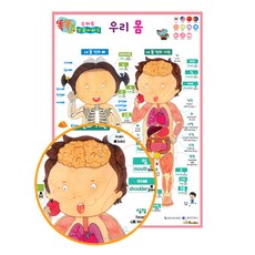 똑똑 스마트 브로마이드 우리 몸, 한국가우스