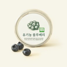유기농 인증 바로먹는 블루베리, 1개, 100g