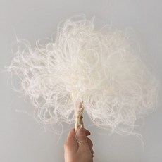 BLOOMING&ME Stipa pennata乾燥, 乳霜, 1個