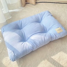 순잠 고양이 파스텔 소프트 매트, 블루, 1개