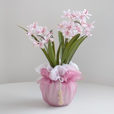 BLOOMING&ME Bojagi I 禮品花盆 Sinbidium, 淺粉色