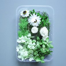 Makemine混合乾花盒DIY柳綠, 混色