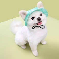 Pick&Pet 寵物極光波浪遮陽帽, 薄荷綠, 1個