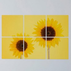 꾸밈 멀티액자 해바라기두송이 cf356