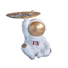 Franconde太空人托盤, 基本的