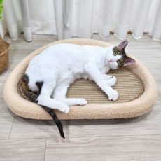 MAAH 貓用劍麻半永久超細纖維沙發貓抓板, 1個, 棕色