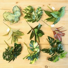 JOART 室內裝飾人造葉仿真植物 9件組, 1套, 混合色