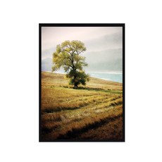 草原海報 + 鋁製畫框組, 黑色