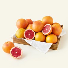 더네이처 이스라엘 자몽, 1개, 5kg