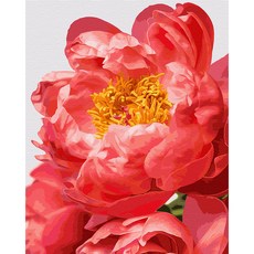 플레이어바웃 유화 피포페인팅 DIY 명화 그리기 40 x 50 cm 붉은 모란, 혼합색상, 1개