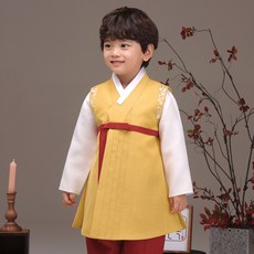 Ye Hanbok Boys 225 Hayul 金色韓服套裝