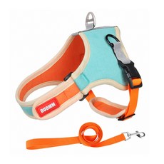 Ants 寵物Sweate胸背帶 M + 牽繩, 天藍色, 1套