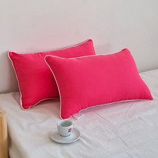 아임리빙 사계절 스윗엣지 통세탁 베개, 스트로베리, 2개