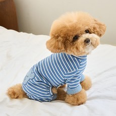 BENNYS 狗狗條紋Benny連身衣, 藍色, 1個