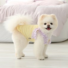 ITS DOG 狗狗水果雪酪背心, 1個, 檸檬