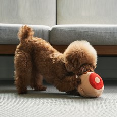 Buddybee Buddy Ball Buddy Ball 互動式狗狗玩具, 1個, 混色