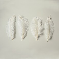 kategarden 鴕鳥毛裝飾 4入, 白色