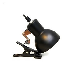 Jules爬蟲類夾式燈, 混色, 1個