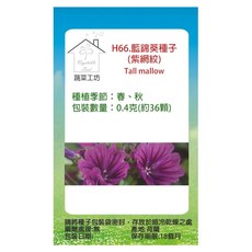 蔬菜工坊 藍錦葵種子 紫網紋 H66 36顆, 1個