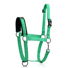 騎馬肚帶馬具, 綠色, 1個