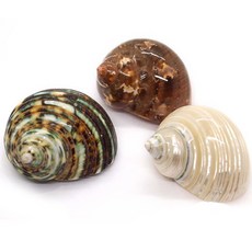 HT NATURAL 海灘島嶼貝殼水族箱裝飾3件組, 1套