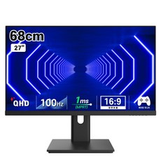 디엑스 QHD 100Hz IPS LED 모니터, 68cm, DX270QHD100(일반)