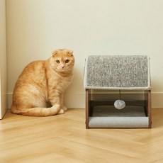 펫토리아 고양이 GP 카펫 숨숨집 원목 하우스 스크래쳐, 혼합색상, 1개