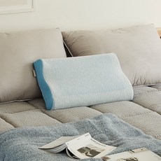 HANSSEM Sleep Diver 健康凝膠 Siwon 記憶海綿枕頭 + 枕頭套 2 件套, 白色+藍色(封面)