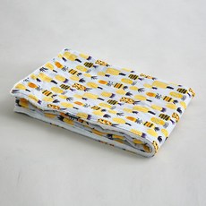 elim korea Velboa 超細纖維毯子, 鳳梨