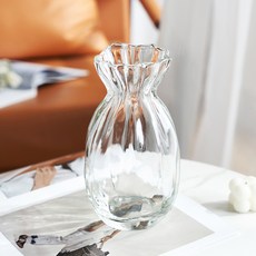 EVER HOUSE 玻璃泡泡室內裝飾花瓶, 透明
