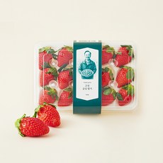 이규원 농부의 고성 금실딸기 12~15개입, 350g, 1개