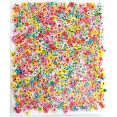 紫蘇混合乾燥花 大, 混色