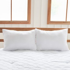 AIJA 好眠 雙層超細纖維枕芯 標準型, 白色, 2個