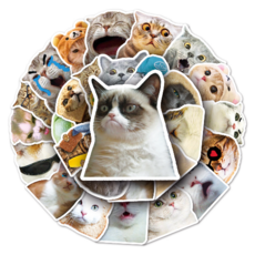 문곰상점 감성 다이어리 꾸미기 캐리어 스티커 50종 세트, 귀여운 고양이, 1세트