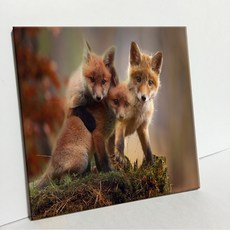 UDP 磁磚相框 A型 3707653, 單一顏色