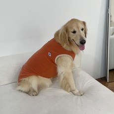 Barkdog 狗狗秋季毛圈布無袖背心, 磚米色, 1個