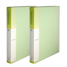 Wizoffice PP彩色索引文件夾 A4 60頁, 綠色, 2個