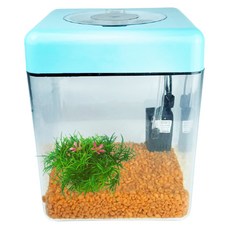 Rora Pet 壓克力方形LED魚缸, 橘子