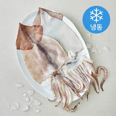 벌쿡 국내산 손질오징어 (냉동), 1개, 600g
