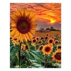 케이엠엘리 캔버스액자 일체형 3D 원형 보석십자수 DIY 키트 50 x 40 cm, 황금들판해바라기, 1세트