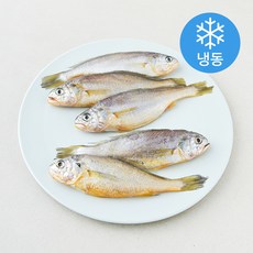 중매인신훈식 맑은소금 제주 참조기 (냉동), 1개, 400g(5미)