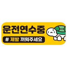 루키마켓 자국없는 리무버블 탈부착 초보운전 스티커 자석, JC08 연수거북, 1개
